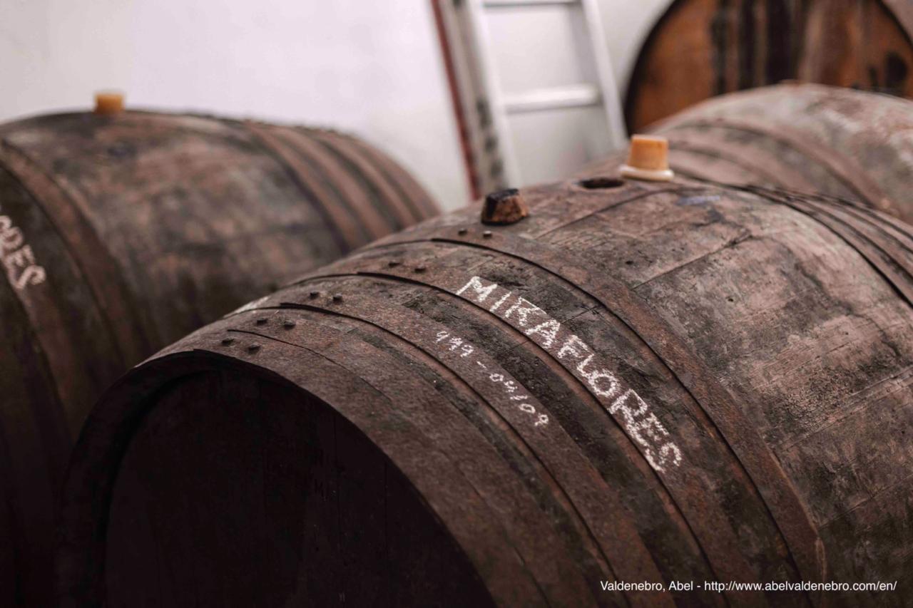 Barricas de vino